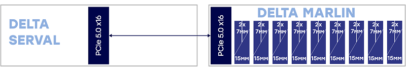 Standard<br>1х Delta Serval 1х block Delta Marlin